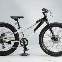20" Велосипед TimeTry TT290 черно-белый 7 скор. ал. рама полуфэт
