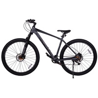 29 WOLF Platinum PL920 серый 
