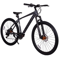 29 WOLF Platinum PL920 серый 