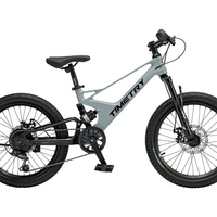 20 Велосипед TIMETRY TT230 серый