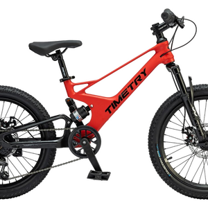 20 Велосипед TIMETRY TT230 красный