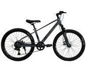 24 Велосипед REBEL RISE RICHER grey