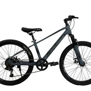 24 Велосипед REBEL RISE RICHER grey
