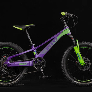 20 Велосипед EWO COLA  violet/green