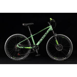 24 Велосипед EWO ONE mint