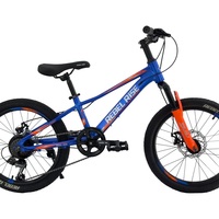 20 Велосипед REBEL RISE RON R6 169 blue orange 