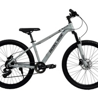 26 Велосипед REBEL RISE ONYX HD R12 285 nardo gray