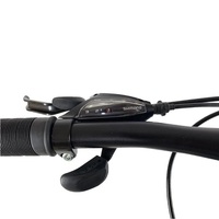 24 Велосипед REBEL RISE 405 розовый