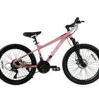 24 Велосипед REBEL RISE 405 розовый